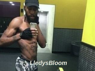 Lledys_Bloom