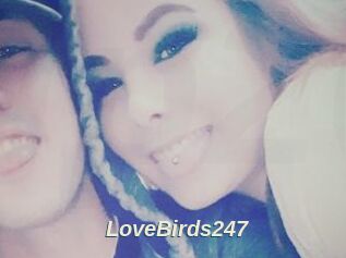 LoveBirds247