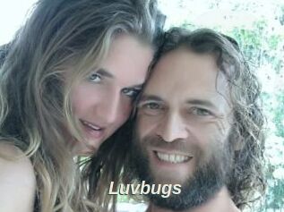 Luvbugs