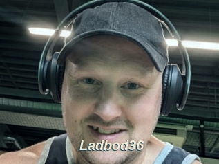 Ladbod36