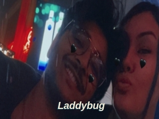 Laddybug