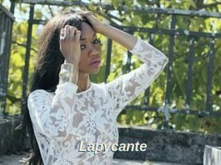 Lapycante