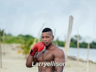 Larryellison