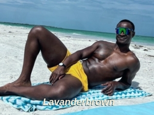 Lavanderbrown