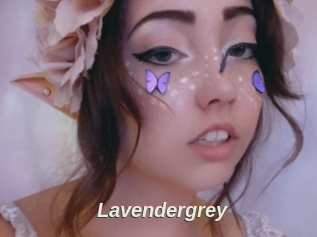 Lavendergrey