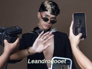 Leandrogooet
