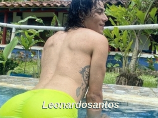 Leonardosantos