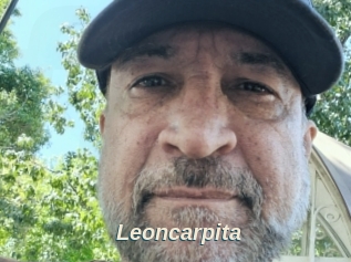 Leoncarpita