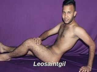Leosaintgil