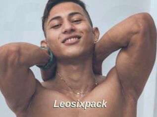 Leosixpack