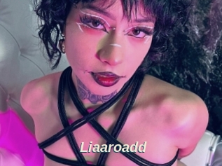 Liaaroadd