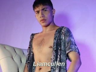 Liamcullen
