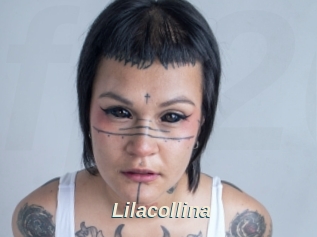 Lilacollina