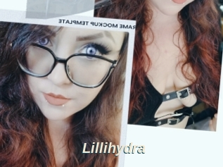Lillihydra