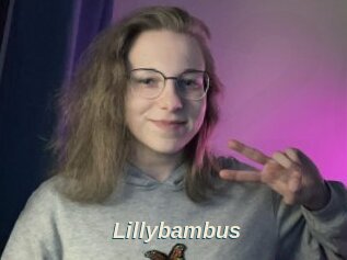 Lillybambus