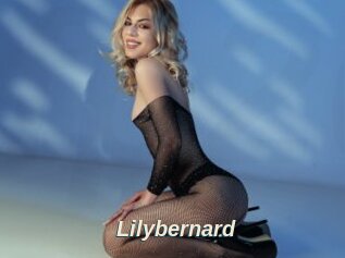 Lilybernard