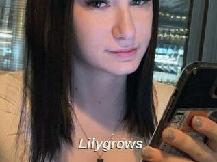 Lilygrows