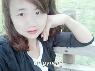 Lingynedg