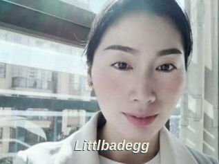 Littlbadegg