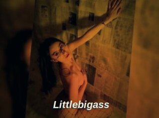 Littlebigass