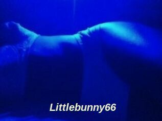 Littlebunny66