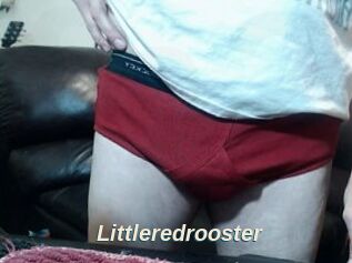 Littleredrooster