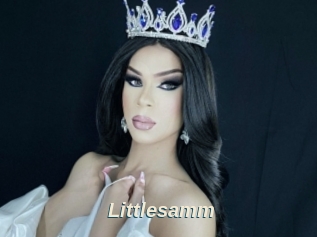 Littlesamm