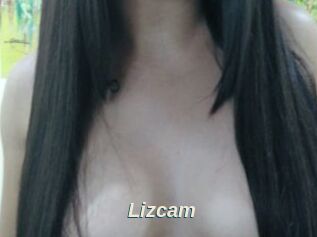 Lizcam