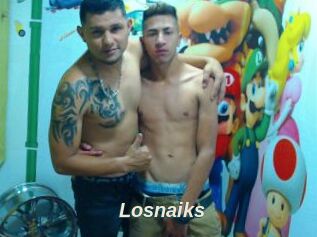 Losnaiks