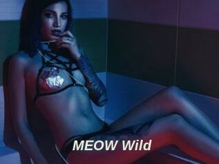 MEOW_Wild