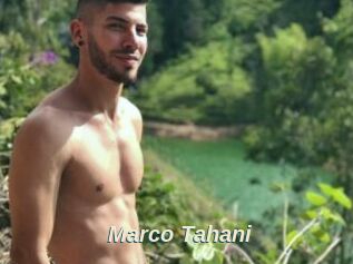 Marco_Tahani