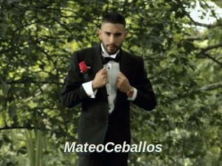 MateoCeballos