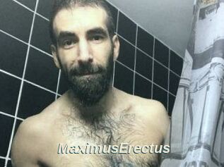 MaximusErectus