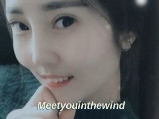 Meetyouinthewind
