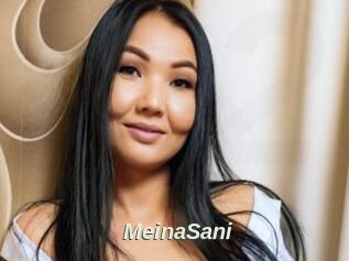 MeinaSani