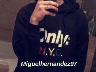 Miguel_hernandez97