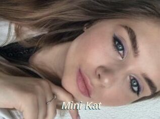 Mini_Kat