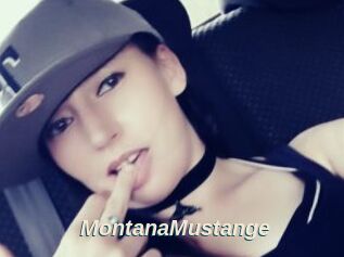 MontanaMustange