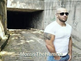 MorrisTheHumme