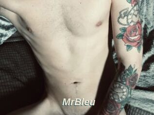 MrBleu