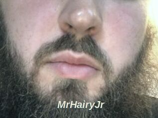 MrHairyJr