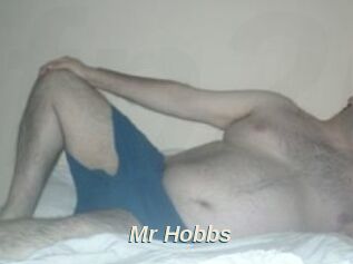 Mr_Hobbs
