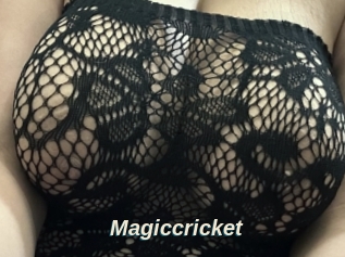 Magiccricket