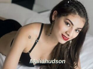 Maliahudson