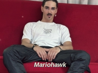 Mariohawk
