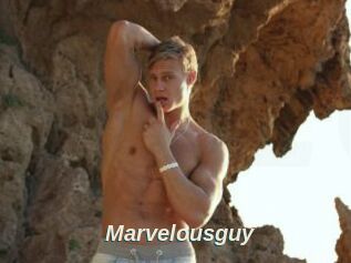 Marvelousguy