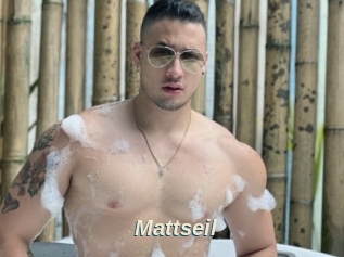 Mattseil