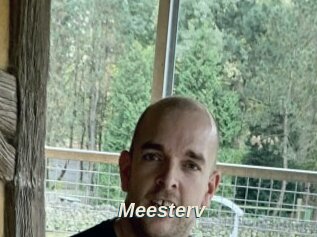 Meesterv
