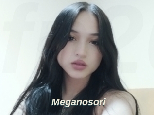 Meganosori