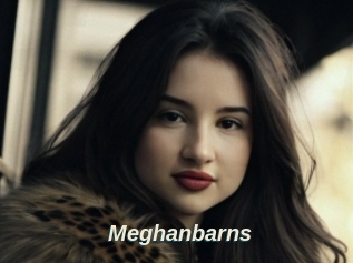 Meghanbarns